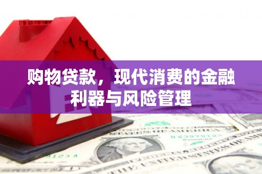 阳山购物贷款，现代消费的金融利器与风险管理