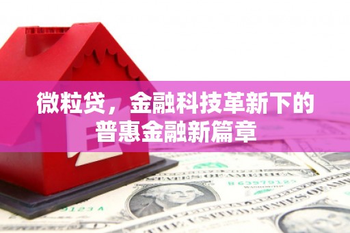 阳山微粒贷，金融科技革新下的普惠金融新篇章