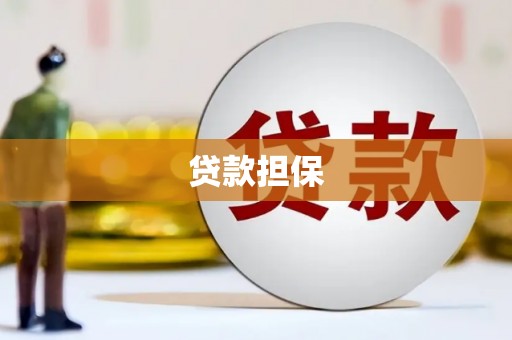 阳山贷款担保