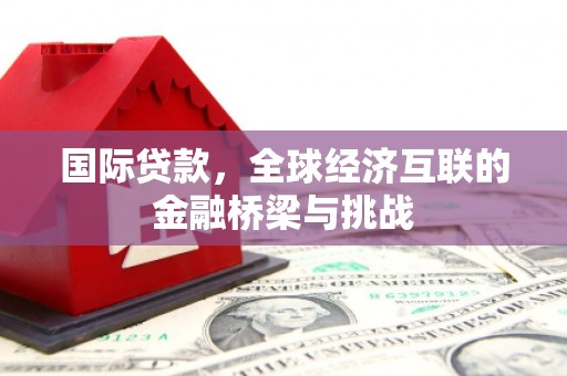 阳山国际贷款，全球经济互联的金融桥梁与挑战