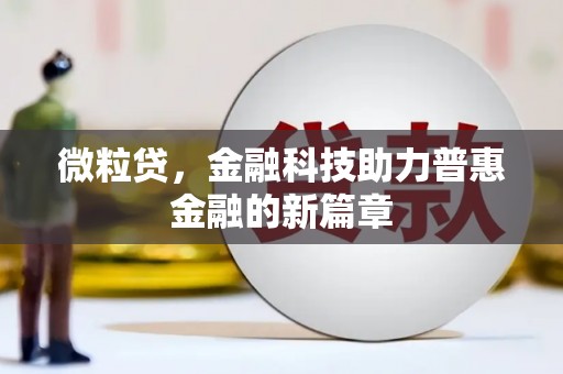 阳山微粒贷，金融科技助力普惠金融的新篇章