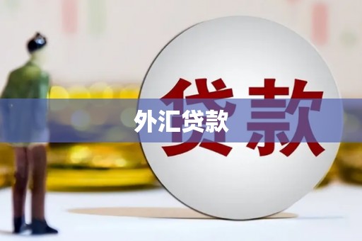 阳山外汇贷款
