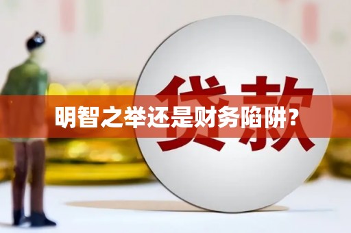 阳山明智之举还是财务陷阱？