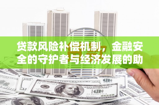 阳山贷款风险补偿机制，金融安全的守护者与经济发展的助推器