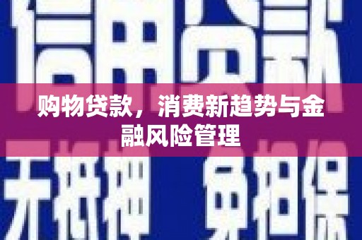 阳山购物贷款，消费新趋势与金融风险管理