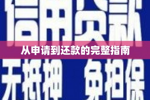 阳山从申请到还款的完整指南