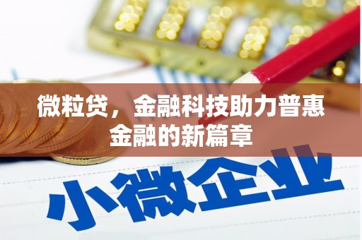 阳山微粒贷，金融科技助力普惠金融的新篇章
