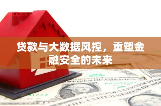 阳山贷款与大数据风控，重塑金融安全的未来