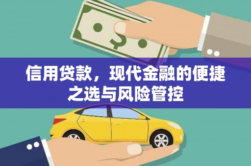 阳山信用贷款，现代金融的便捷之选与风险管控