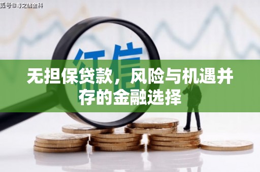 阳山无担保贷款，风险与机遇并存的金融选择