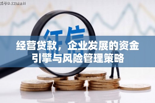 阳山经营贷款，企业发展的资金引擎与风险管理策略