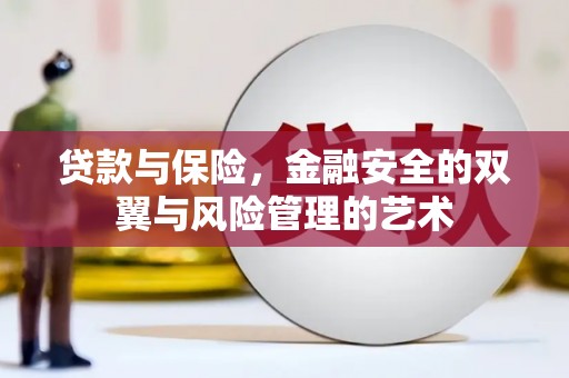 阳山贷款与保险，金融安全的双翼与风险管理的艺术