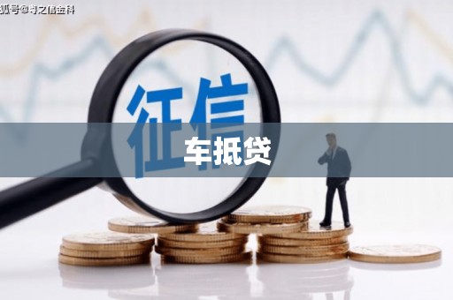 阳山车抵贷