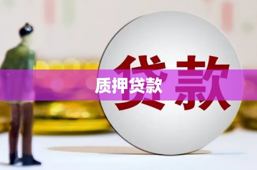 阳山质押贷款