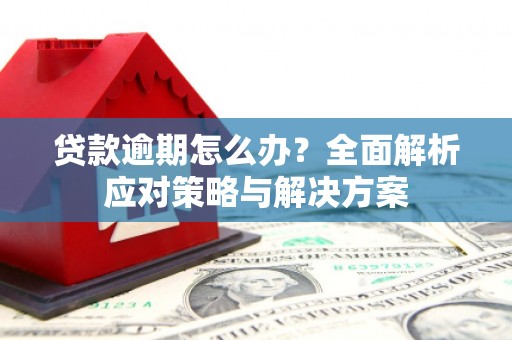 阳山贷款逾期怎么办？全面解析应对策略与解决方案