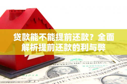 阳山贷款能不能提前还款？全面解析提前还款的利与弊
