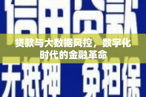 阳山贷款与大数据风控，数字化时代的金融革命