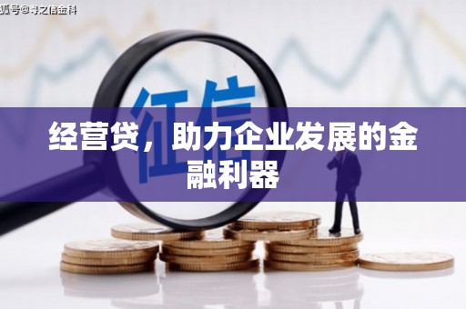 阳山经营贷，助力企业发展的金融利器