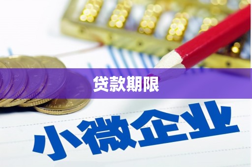 阳山贷款期限
