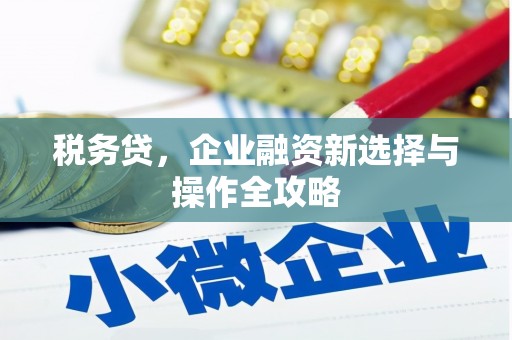 阳山税务贷，企业融资新选择与操作全攻略