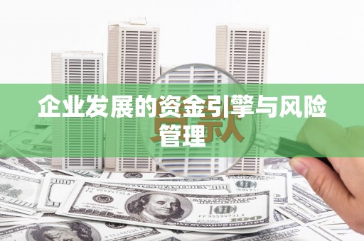 阳山企业发展的资金引擎与风险管理