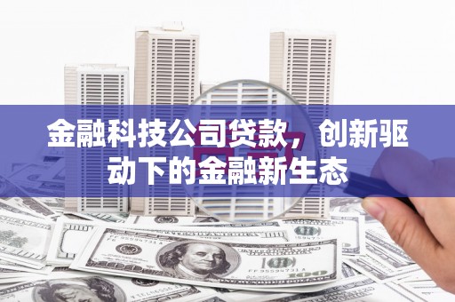 阳山金融科技公司贷款，创新驱动下的金融新生态