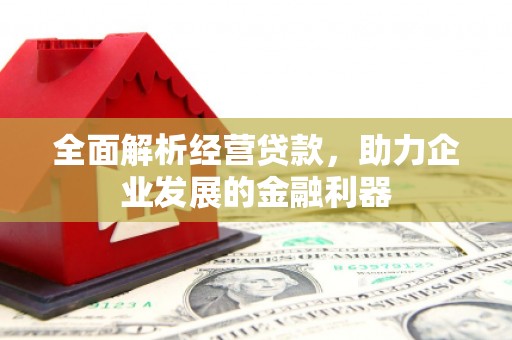 阳山全面解析经营贷款，助力企业发展的金融利器