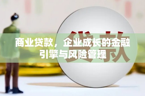 阳山商业贷款，企业成长的金融引擎与风险管理