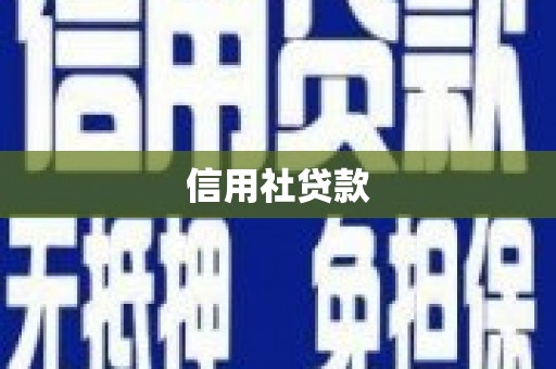 阳山信用社贷款