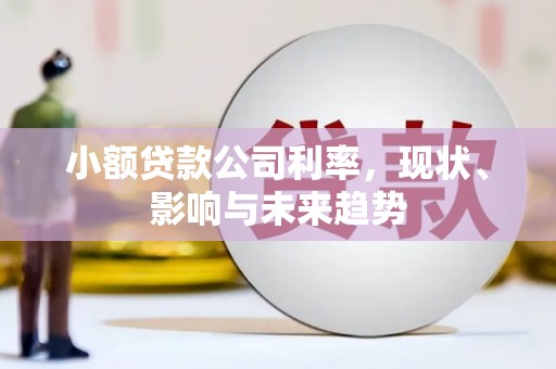 阳山小额贷款公司利率，现状、影响与未来趋势