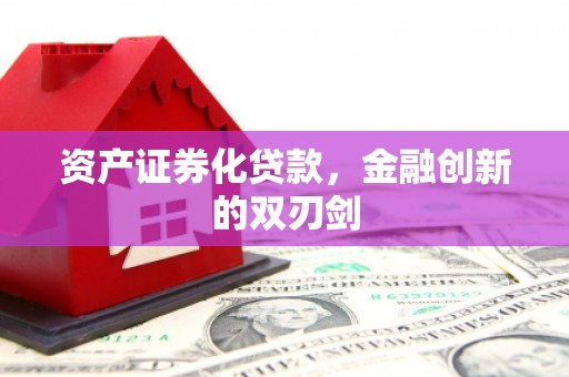 阳山资产证券化贷款，金融创新的双刃剑