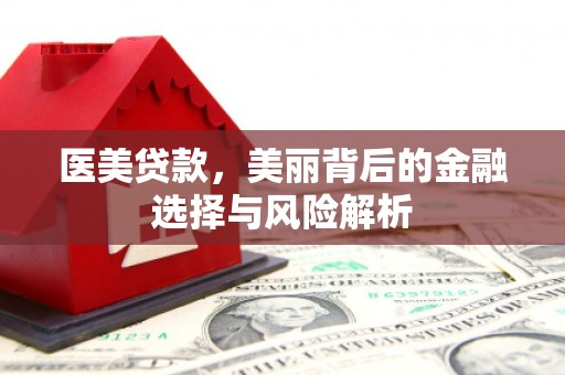 阳山医美贷款，美丽背后的金融选择与风险解析