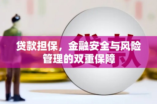 阳山贷款担保，金融安全与风险管理的双重保障