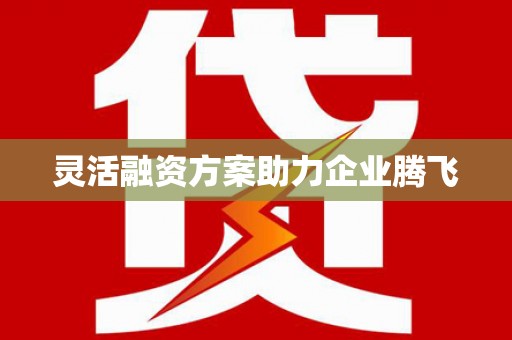 阳山灵活融资方案助力企业腾飞