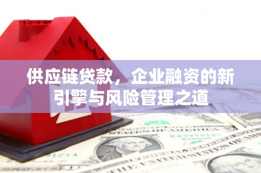 阳山供应链贷款，企业融资的新引擎与风险管理之道