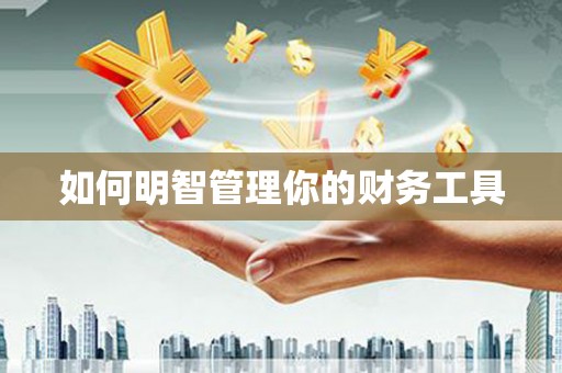 阳山如何明智管理你的财务工具