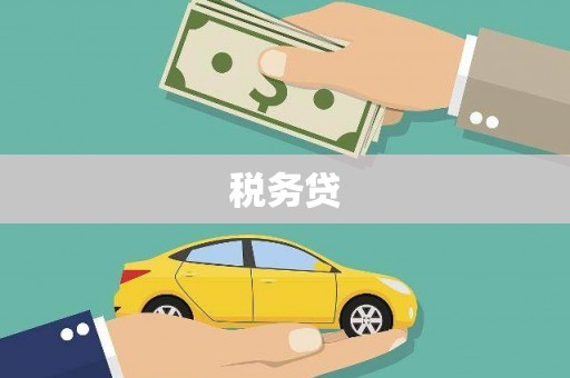 阳山税务贷