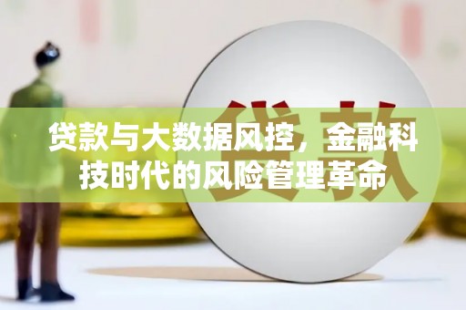 阳山贷款与大数据风控，金融科技时代的风险管理革命