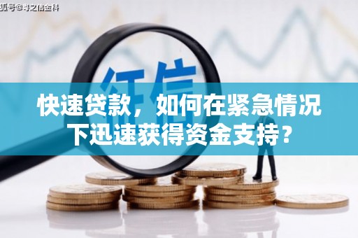阳山快速贷款，如何在紧急情况下迅速获得资金支持？