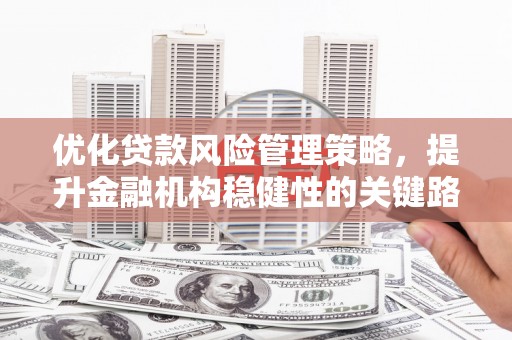 阳山优化贷款风险管理策略，提升金融机构稳健性的关键路径