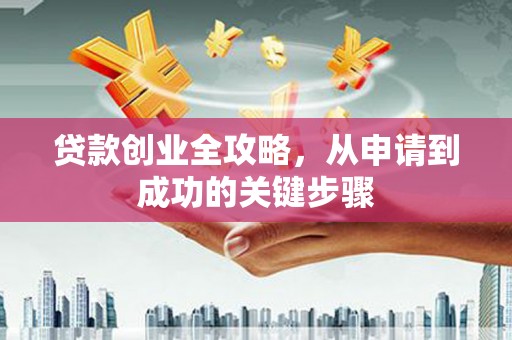 阳山贷款创业全攻略，从申请到成功的关键步骤
