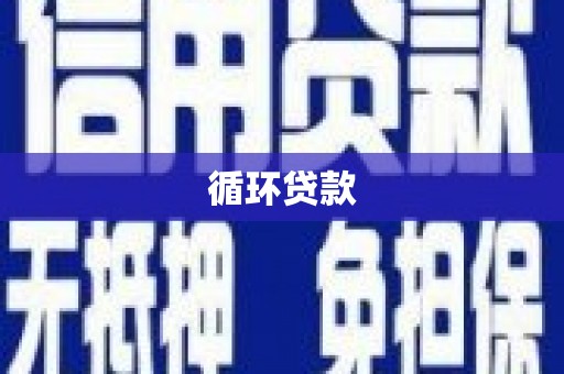 阳山循环贷款