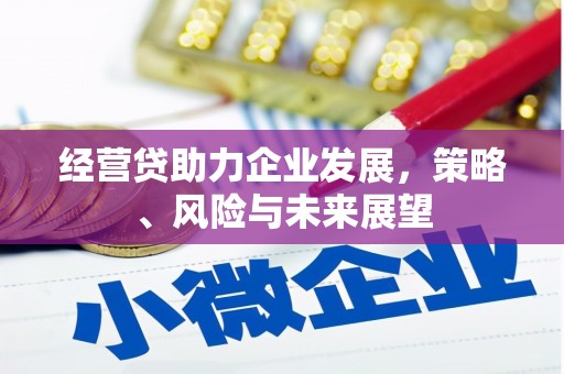 阳山经营贷助力企业发展，策略、风险与未来展望