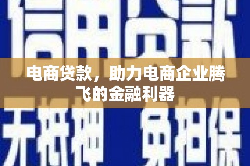 阳山电商贷款，助力电商企业腾飞的金融利器