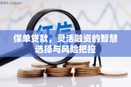 阳山保单贷款，灵活融资的智慧选择与风险把控