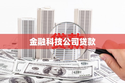 阳山金融科技公司贷款