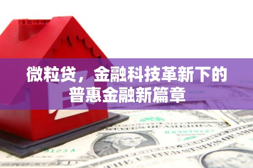 阳山微粒贷，金融科技革新下的普惠金融新篇章