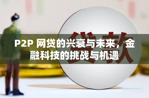 阳山P2P 网贷的兴衰与未来，金融科技的挑战与机遇