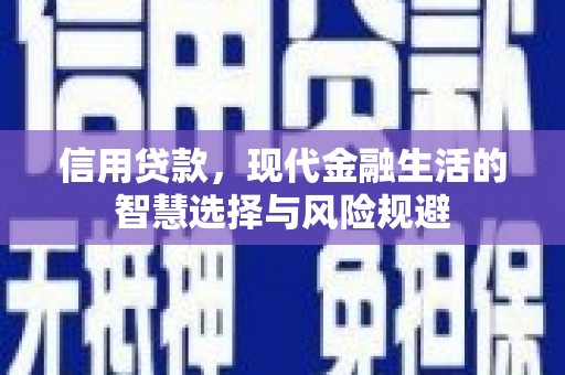 阳山信用贷款，现代金融生活的智慧选择与风险规避