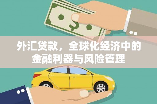 阳山外汇贷款，全球化经济中的金融利器与风险管理